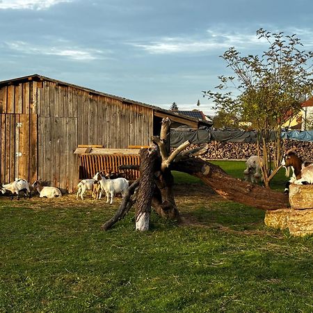 Ferienwohnung Peters Hunfeld Bagian luar foto